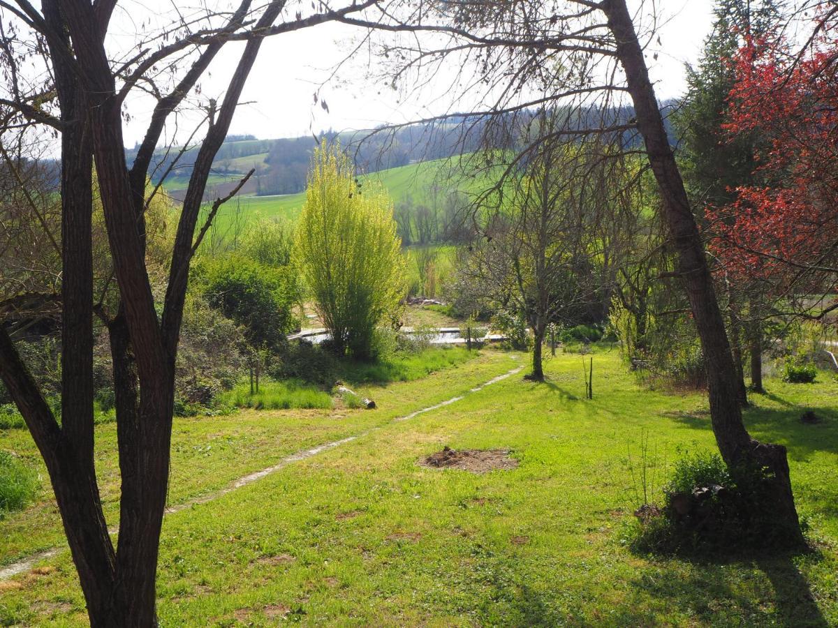 Grand Gite Les Cabanes De Fallot Pour 19 Personnes - Piscine Naturelle L'isle-Bouzon Exterior foto